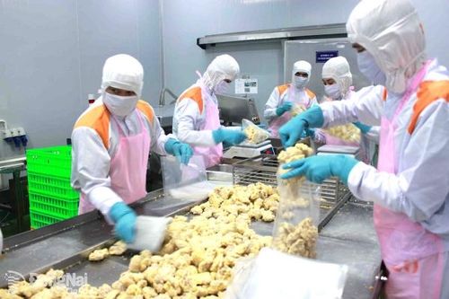 Xây dựng nền nông nghiệp hiện đại