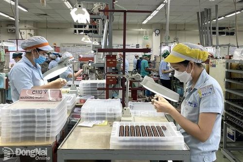 Phát triển kinh tế để chăm lo tốt đời sống nhân dân