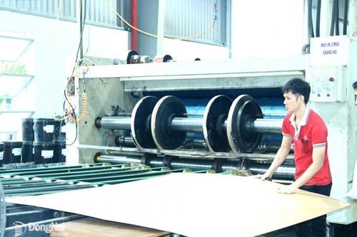 Nhiều doanh nghiệp đầu tư mở rộng sản xuất