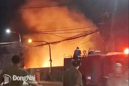 Dập tắt kịp thời đám cháy cỏ, rác đối diện cổng khu công nghiệp Biên Hòa 2