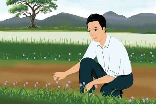 Cỏ mùa xuân