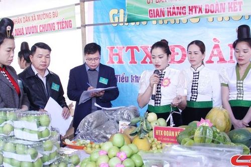 Học tập và làm theo Bác để phát triển kinh tế