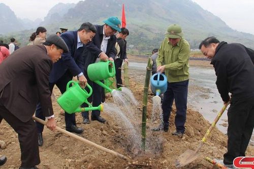 Mường La ra quân trồng cây và làm thủy lợi