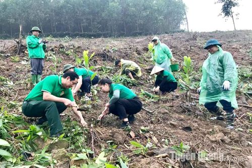 Hội Nông dân tỉnh phát động thi đua và Tết trồng cây 'Đời đời nhớ ơn Bác Hồ' Xuân Ất Tỵ năm 2025