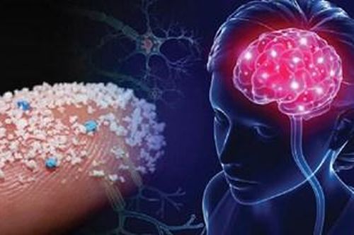 Mức độ các hạt vi nhựa xâm nhập vào não người ngày càng tăng