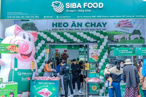BaF Việt Nam (BAF): Lợi thế từ chuỗi chăn nuôi khép kín 3F, lãi năm 2024 tăng hơn 10 lần
