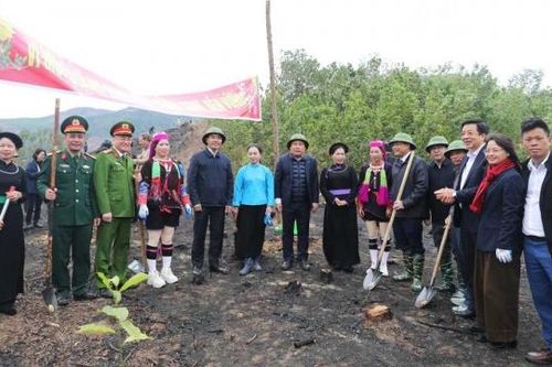 Quảng Ninh phấn đấu trồng 31.847ha rừng tập trung trong năm 2025