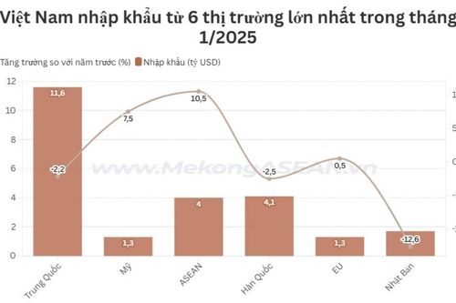Việt Nam nhập siêu hơn 1 tỷ USD từ ASEAN trong tháng 1/2025
