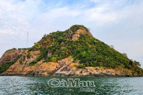 Ðảm bảo an toàn rừng trên đảo Hòn Chuối