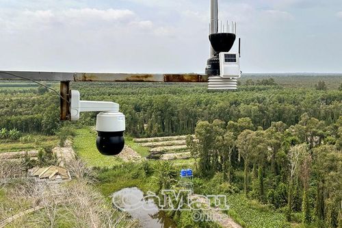 Chủ động bảo vệ rừng mùa khô