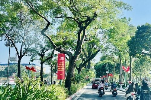 Tạo cơ chế mở để Hà Nội phát triển xanh bền vững, thân thiện với môi trường