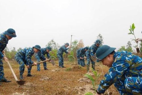 Sư đoàn 371 trồng hơn 10.000 cây xanh đầu năm mới