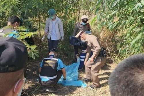Đi bắt chuột, người đàn ông sợ hãi khi thấy thứ chôn dưới đất