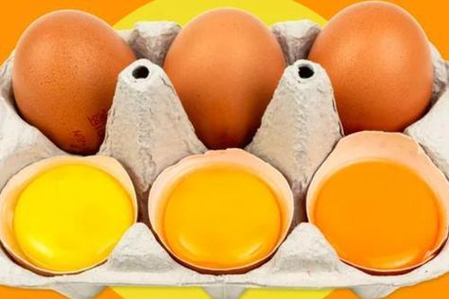 Trứng gà có lòng đỏ cam hay vàng bổ dưỡng và ngon hơn?