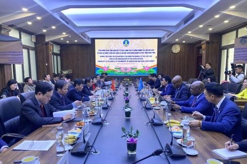 Thúc đẩy hợp tác giữa FAO và Việt Nam trong ngành nông nghiệp