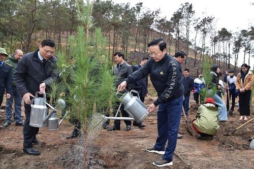 Phó Thủ tướng Trần Hồng Hà tham gia Tết trồng cây nhớ ơn Bác Hồ
