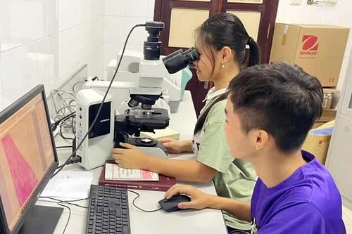 Bộ GD&ĐT ban hành quy định Khung năng lực số cho người học