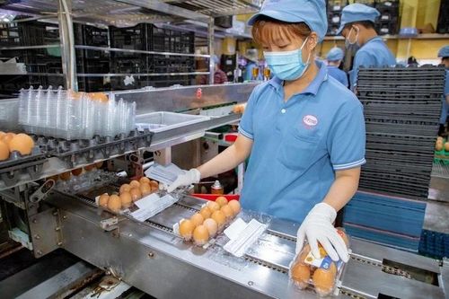 Chưa hết 'mùng', nhiều doanh nghiệp tăng tốc sản xuất
