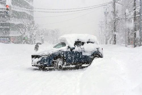 Hình ảnh cuộc sống gián đoạn ở Hokkaido vì tuyết rơi kỷ lục