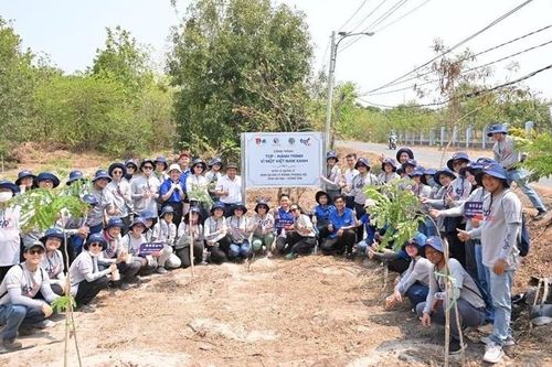 Hành trình 2024: TCP Việt Nam và dấu ấn vì cộng đồng