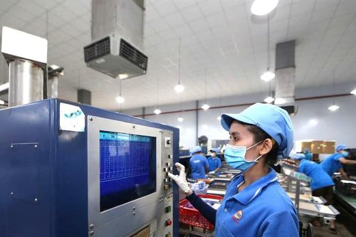TP Hồ Chí Minh: Hơn 97% lao động trở lại làm việc sau Tết