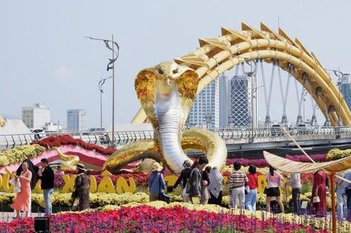 Lần đầu giữ lại đường hoa Tết, Đà Nẵng sẽ chăm sóc như thế nào?