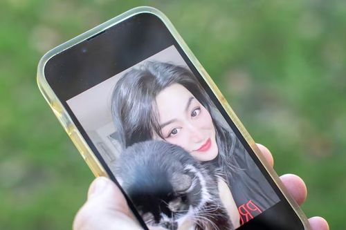 Ngọt ngào và man trá: Bên trong các 'trại lừa đảo' tại Đông Nam Á