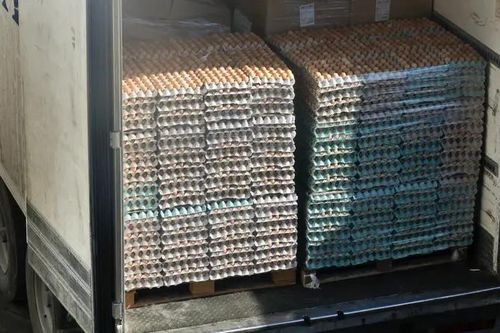 Kẻ trộm lấy sạch số trứng hữu cơ trị giá hơn 1 tỷ đồng