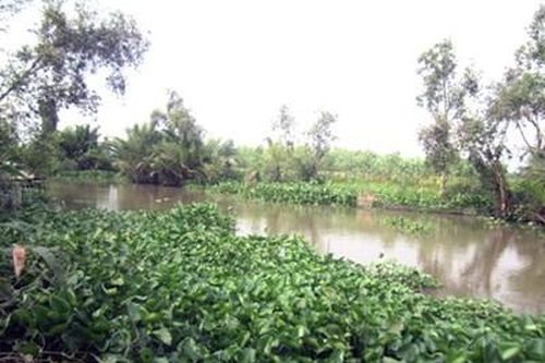 Phát hiện thi thể thiếu niên 16 tuổi bị cột vào đầu bơm nước, nổi trên kênh