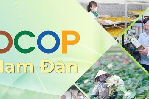 OCOP nâng tầm giá trị và thương hiệu nông sản Nam Đàn