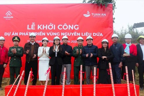 Khởi công Dự án phát triển vùng nguyên liệu dứa tại huyện miền núi Quế Phong
