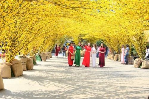 Khởi đầu của mùa xuân