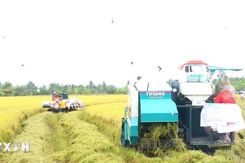 Tập đoàn sản xuất gạo Australia quan tâm nỗ lực giảm phát thải của Việt Nam