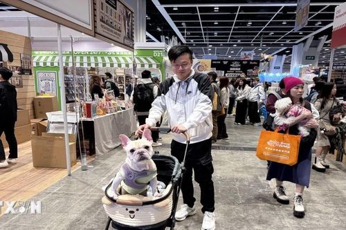 Nhiều hoạt động hấp dẫn và sôi động tại lễ hội thú cưng ở Hong Kong