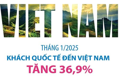 Tháng 1/2025: Khách quốc tế đến Việt Nam tăng 36,9%