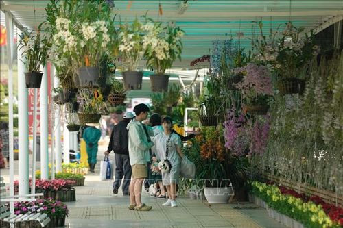 Hội hoa Xuân Đà Lạt - khẳng định vị thế thủ phủ ngàn hoa
