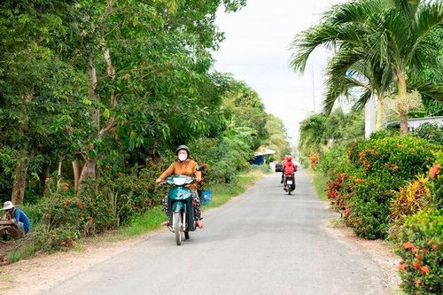 Sắc Xuân trên những vùng quê Châu Thành