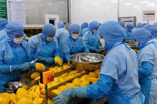 Động lực mới tăng trưởng kinh tế An Giang