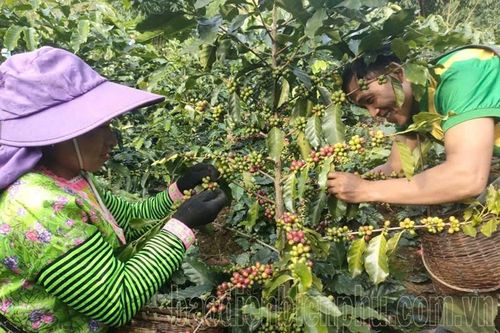 Áo mới huyện cửa ngõ