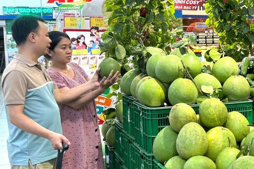 Đẩy mạnh quảng bá nông sản an toàn