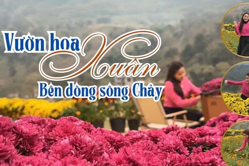 Vườn hoa xuân bên dòng sông Chảy