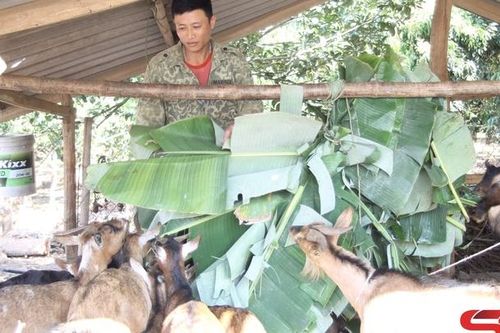 Hội viên nông dân làm kinh tế giỏi