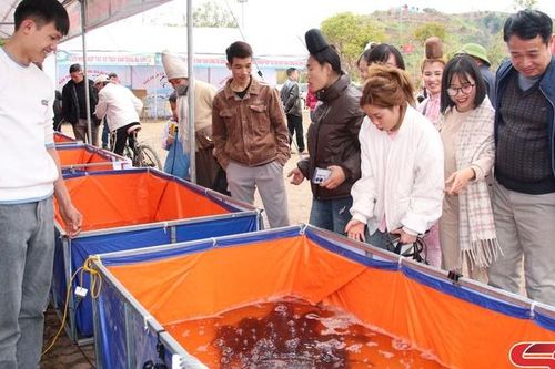 Đặc sắc các sản phẩm trưng bày tại Tuần Văn hóa, thể thao và du lịch huyện Quỳnh Nhai