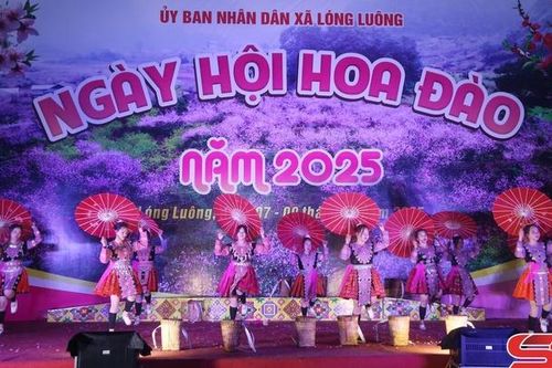 Khai mạc Ngày hội hoa đào xã Lóng Luông năm 2025