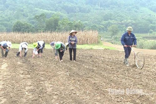 Tăng cường quản lý sức khỏe đất hướng tới sản xuất trồng trọt bền vững