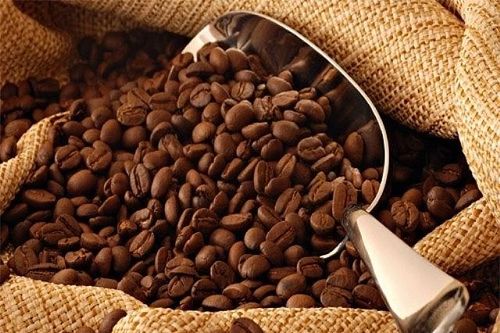 Lưu ý doanh nghiệp xuất khẩu cà phê vào thị trường Bắc Âu