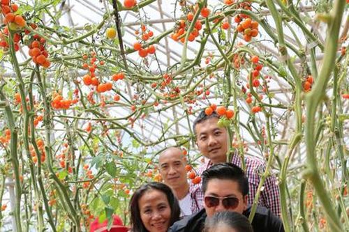 Thêm nền tảng để thúc đẩy phát triển du lịch nông nghiệp
