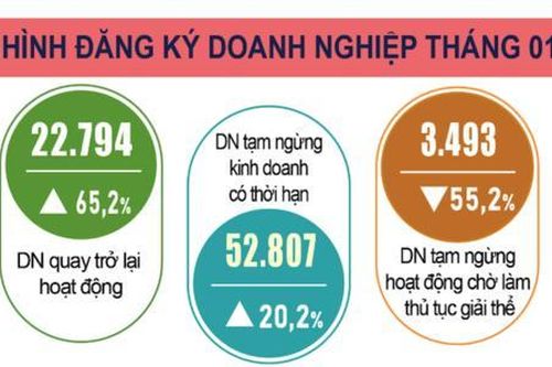 Tổng cục Thống kê lý giải nguyên nhân số doanh nghiệp rút khỏi thị trường gia tăng