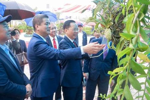 Ngập tràn sắc xuân tại Lễ hội hoa - Sinh vật cảnh Supe Lâm Thao