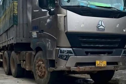 Kỷ luật 3 cán bộ kiểm lâm 'giải cứu' 26 cây gỗ giáng hương